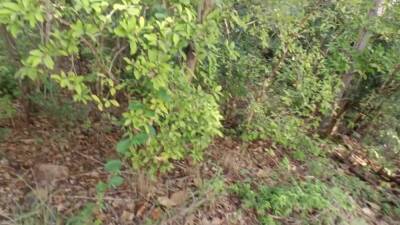 Thai Couple Walking In The Forest And Fucking Cum Gets A Creampie. Fucking Doggystyle Wาไปเย็ดใuป่า - hclips.com